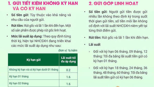 GỬI TIẾT KIỆM TẠI NGÂN HÀNG CHÍNH SÁCH XÃ HỘI LÀ HOẠT ĐỘNG THỂ HIỆN TÍNH NHÂN VĂN SÂU SẮC, AN TOÀN, LINH HOẠT, LỢI ÍCH VƯỢT TRỘI - CÙNG CHUNG TAY GIẢM NGHÈO