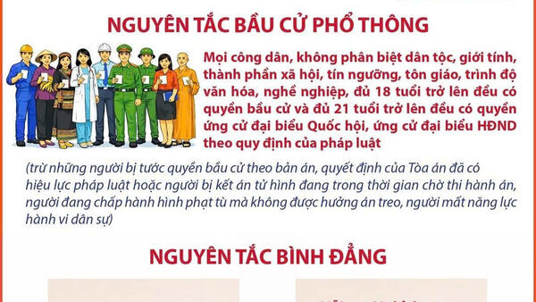 Những nguyên tắc bầu cử đại biểu Quốc hội, đại biểu Hội đồng nhân dân