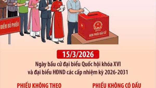 Những phiếu bầu cử nào là phiếu không hợp lệ?