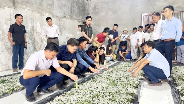 Xã Hữu Lũng tham quan học tập kinh nghệm tại HTX Nấm xã Tam Đảo, tỉnh Phú Thọ