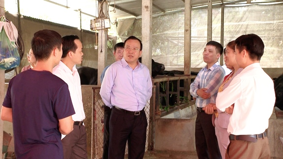 Đoàn kiểm tra tham quan mô hình chăn nuôi bò 3B trên địa bàn xã Quyết Thắng.jpg