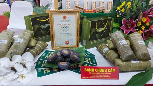 Sản phẩm OCOP Bánh Chưng cẩm Hồng Lý được trưng bày giới thiệu tại gian hàng của huyện.jpg
