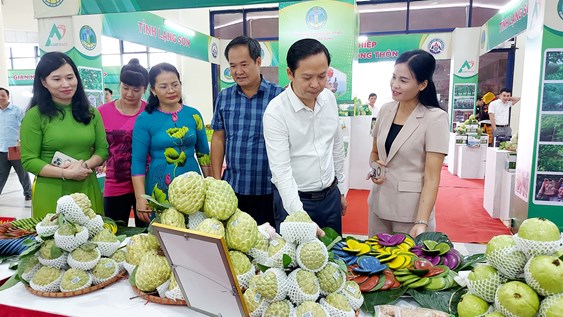 Đồng chí Dương Thị Hạnh - Phó Chủ tịch UBND huyện giới thiệu các sản phẩm các sản phẩm OCOP và sản vật của địa phương tới các đại biểu tham quan gian hàng của huyện.jpg